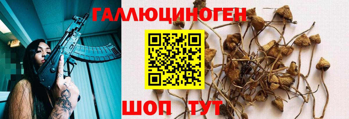 Семёнов  Галлюциногенные грибы мицелий  Галлюциногенные грибы прущие грибы  Вход с VPN 
